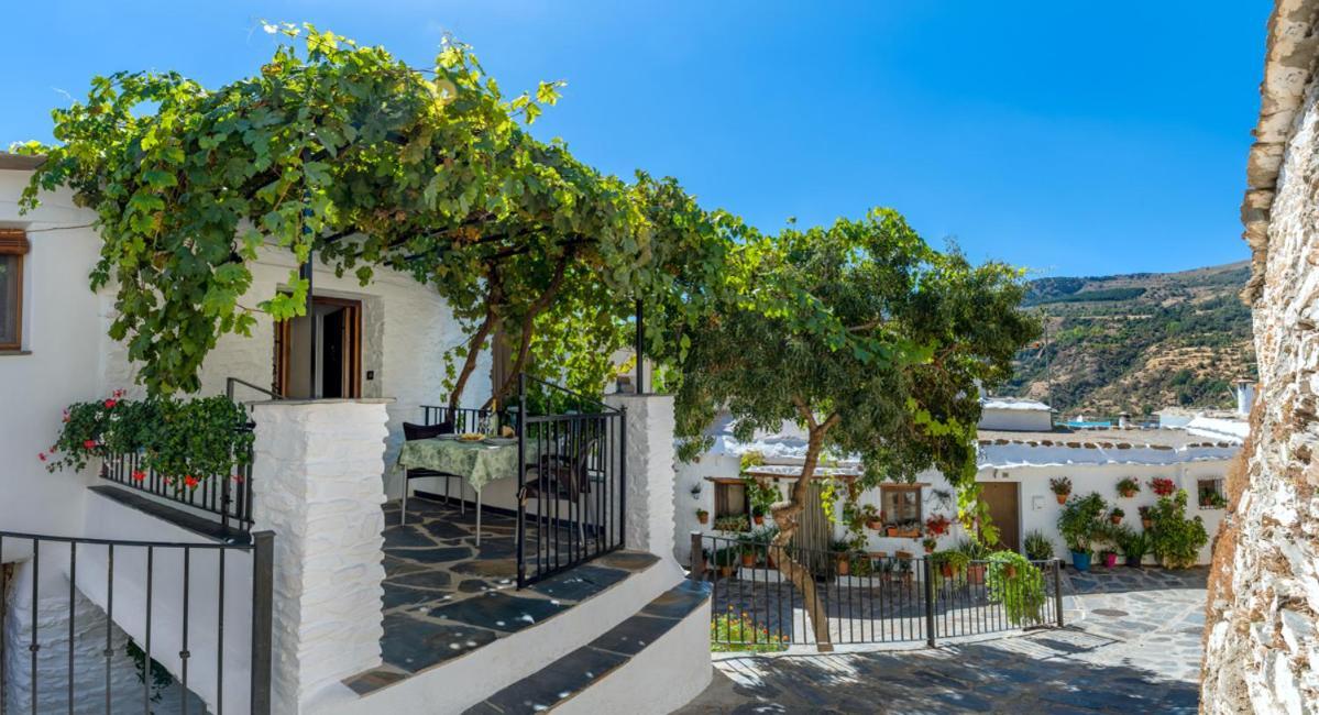 Casa Antonia Capileira La Alpujarra Διαμέρισμα Εξωτερικό φωτογραφία